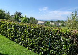 Appartement Limonest RDJ 3 pièce(s) 67m2 avec jardin de 100m², 2 chambres, Garage, piscine