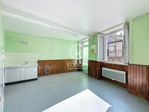 Maison de village Villechenève