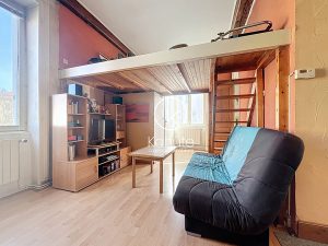 Appartement Lyon 9ème Vaise, 2 pièce(s) 39.17 m2 Carrez (62m² au sol) , 1 chambre, cave et grenier